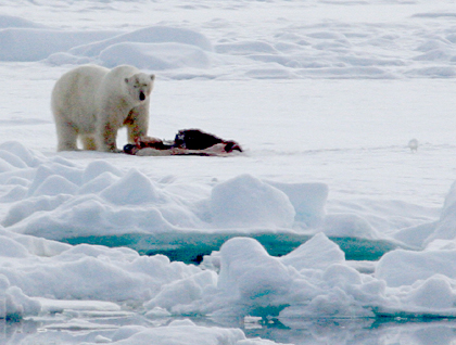 Svalbard Island DX News JW7WCA JW3XIA JW/G4ATA Svalbard Island DX News JW7WCA JW3XIA JW/G4ATA